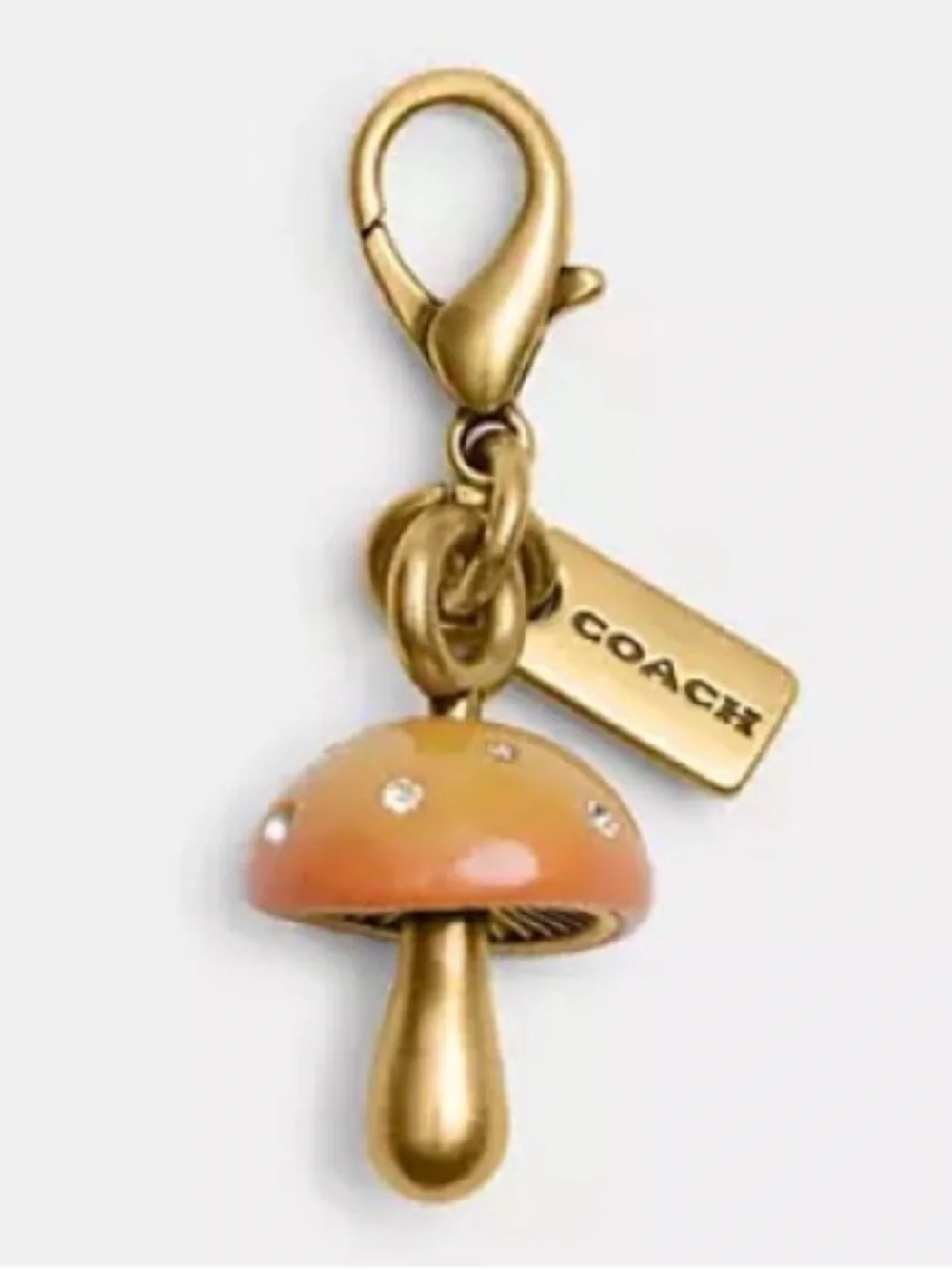 Coach Mini Mushroom DIY Charm CCX67